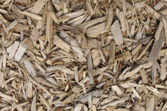 biomass boilers Pantside